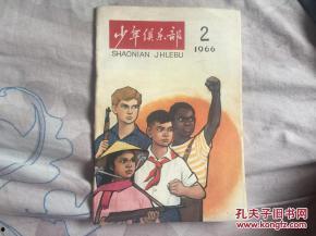 迷幻少年 1966,1966年的青春狂想曲