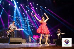 家庭乐队,奏响温馨旋律，共筑音乐梦想之家