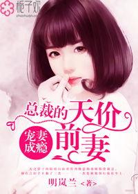 总裁的天价前妻,一场意外的豪门纠葛