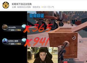 自证疑云,探寻真相的曲折历程