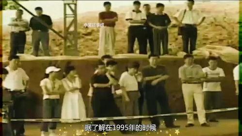 真相1995,揭开那段历史的神秘面纱